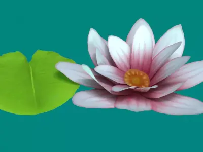Stylized Water Lily Free low-poly 3D model
