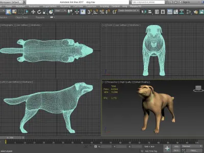 Animal - Dog 3D model