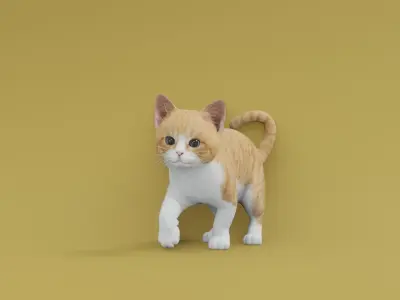 Kitten animated 3D 3D model