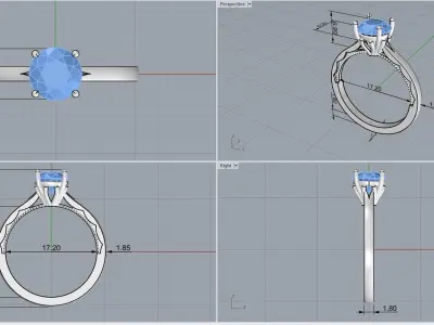 ring code 117 3D print model