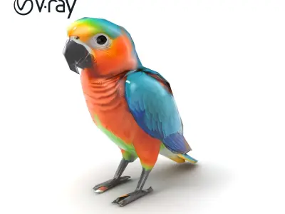 Colorful Parrot Species 3D Model Pack Low-poly 3D model