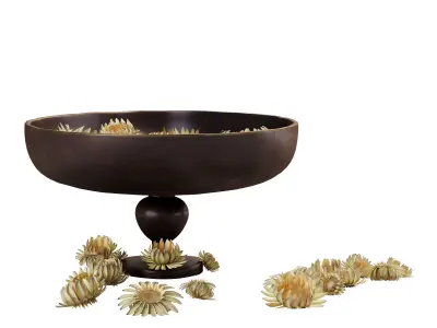 Decorative set with Audo Pavot vase and dried flowers 3D model