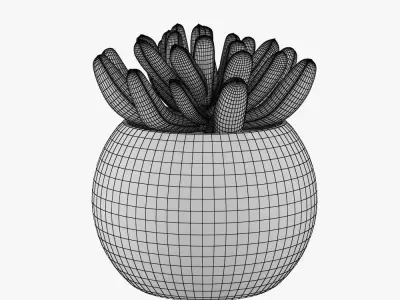 Pot Plant 12 3D Models 3D model