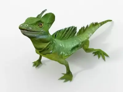 Common Basilisk Low-poly 3D model