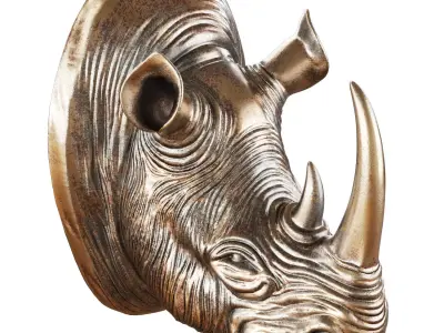 Rhinoceros head on the wall 3D model