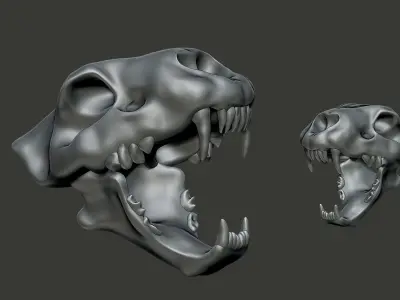 lion skull  3D model