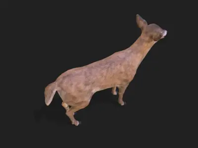 Young deer animation 3D model