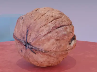 Walnut fruit 07 high-poly 3D model