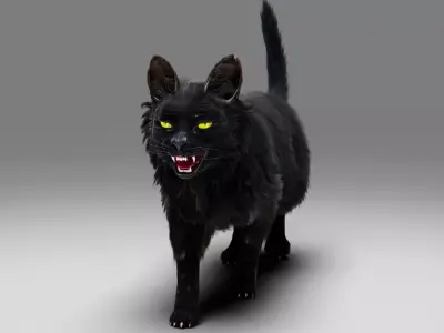 Fur Cat Black Rigged in Blender Low-poly 3D model