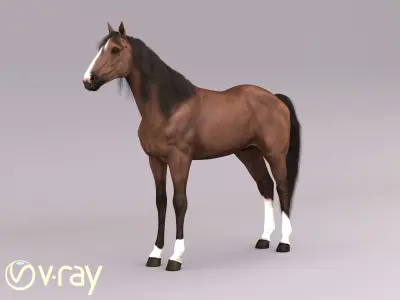 Horse in three poses  not animated Low-poly 3D model