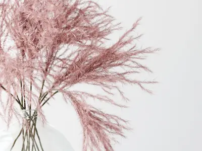 Pink Pampas 3D model