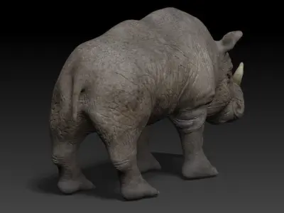 Rigged Rhino Low-poly 3D model