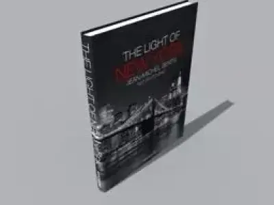 book THE LIGHT OF NEW YORK Free 3D model