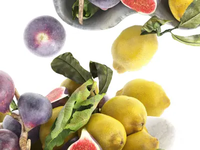 bowl of figs and lemons 3D model