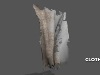 Seamless FBX Torn Cloth Animations 3D model