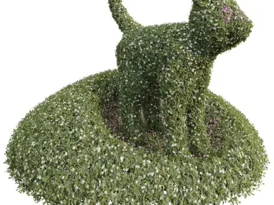 Cuphea Hookeriana Carthagenensis Decorative02 3D model