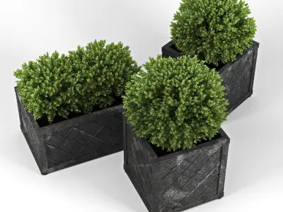 Bushes planter box 3D model