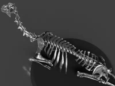 Silver Rest Camel Skeleton 3D model