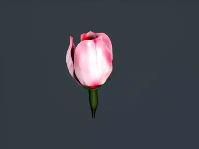 peach flower Low-poly 3D model