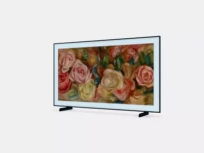 65 The Frame LS03D 5 3D model