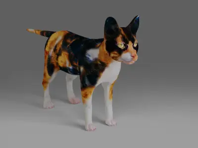 Calico Cat Rigged V4 in Blender  Low-poly 3D model