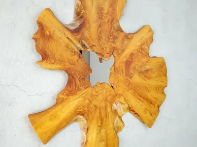 Organic Root Slice Mirror 3D model