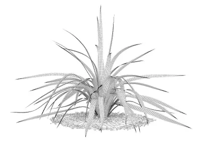 Yellow Yucca Plant Yucca arkansana 3D model
