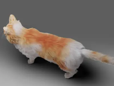 Fur Calico Cat V02 No Rigged Low-poly 3D model