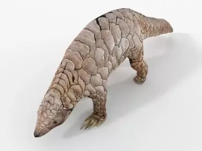 Pangolin Low-poly 3D model