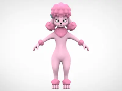 Poodle Coco 3D model
