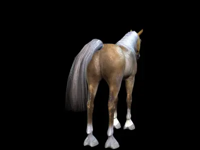 ARABIAN HORSE PUREBLOOD WILD WORLD PONY Low-poly 3D model