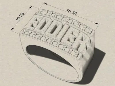 Eddier ring 3D print model