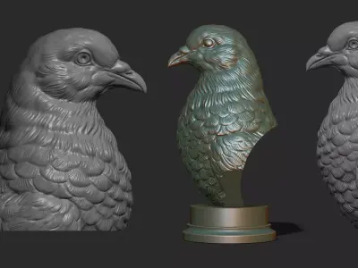Pigeon bust 3D print model