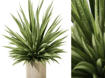 Plants collection vol 52