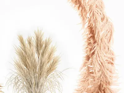 Wedding arch made of dry reeds and palm leaves for decor 1062 3D model