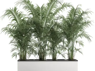 Decorative palm in a flowerpot 691 3D model