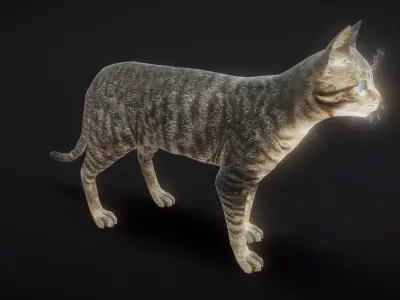 92 complete movements of a cat Low-poly 3D model