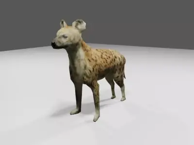 Hyena low and high poly - Hiena Low-poly 3D model