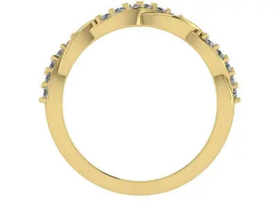 Alliance Braided ring 3D print model