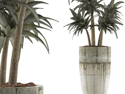 Plants Collection 94 3D model