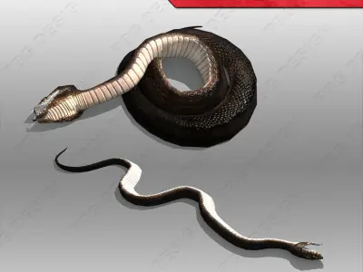 Snake Animated Low-poly 3D model