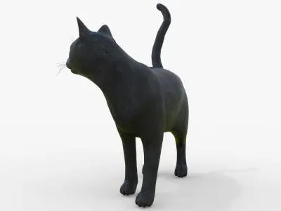 Black Cat Rigged for Cinema 4D 3D Model Low-poly 3D model