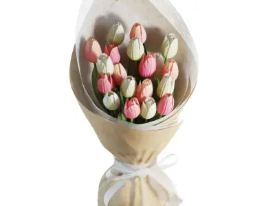Flower Set 20 - Pink and White Tulips Bouquet 3D model