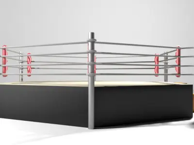 Ring Arena - 6 sided 3D model