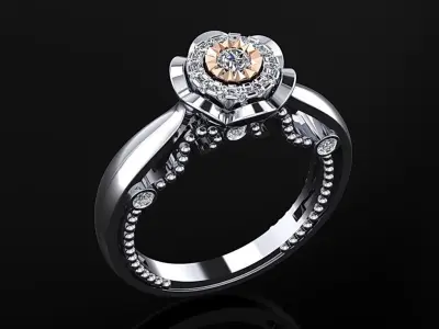 Women Ring 12 3D print model