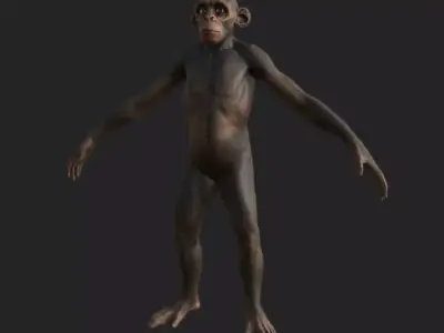 Monkey gameready PBR chimpanzee Low-poly 3D model