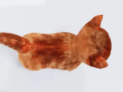Hair Fur Cute Cat kitten No Rig Low-poly 3D model