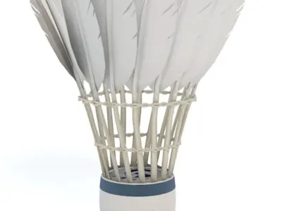 Badminton Shuttlecock 3D model