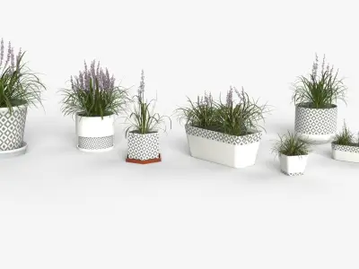 Collection of Liriope grass Plants Vol 05 3D model