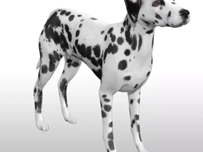 Dalmatian Rig Low-poly 3D model